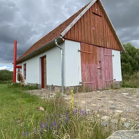 Projektraum Obst Und Sterne *